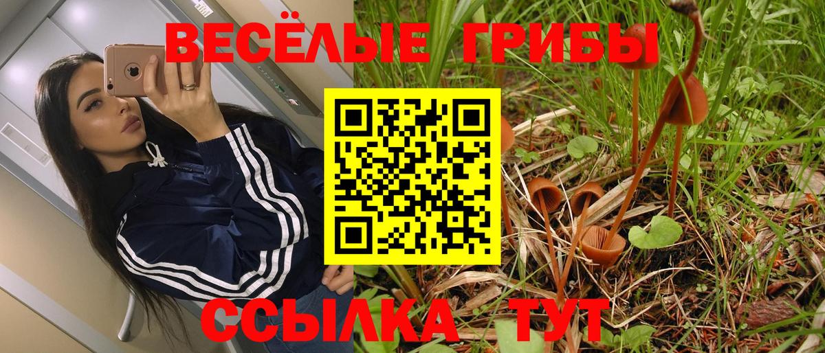 Псилоцибиновые грибы Cubensis  Псилоцибиновые грибы мухоморы  Вход с VPN  Семёнов 
