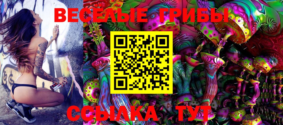 Галлюциногенные грибы GOLDEN TEACHER Семёнов